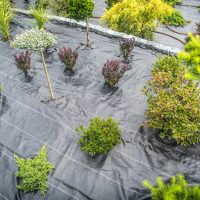 landscape-installation-houston-07