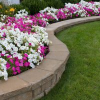 landscaping-company-houston-14