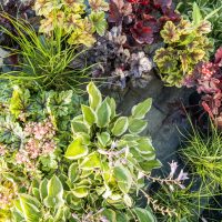 landscaping-services-houston-02